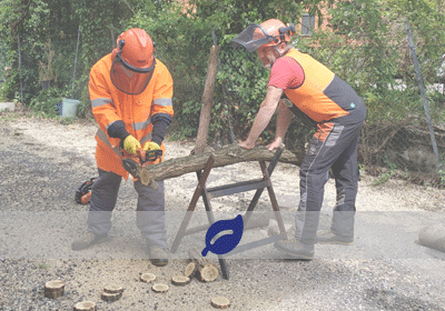 Abilitazione Motoseghe - Completo