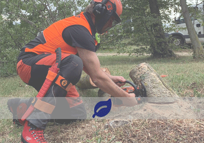 Formazione Specialistica Operatori Motoseghe - Base